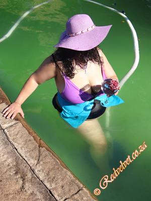 38 year old Escort in Pinetown Waterfall KZN South Africa 